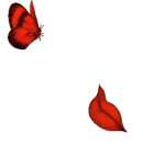 Kullanıcı avatarı